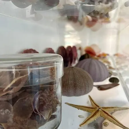 T3 Front In Sao Joao Da Caparica * Costa da Caparica