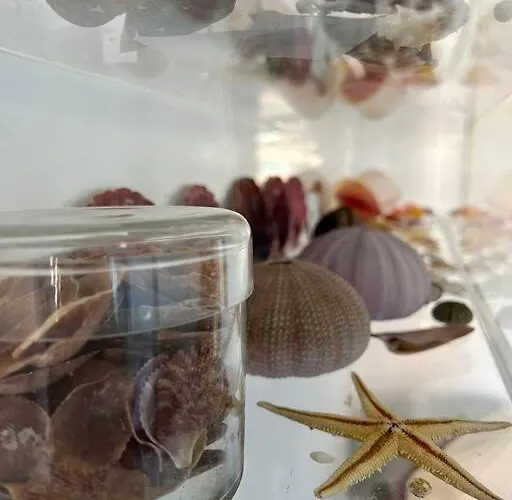 T3 Front In Sao Joao Da Caparica * Costa da Caparica